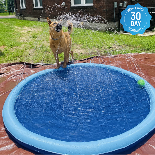 FidoSplash -Ultimate Splash Zone